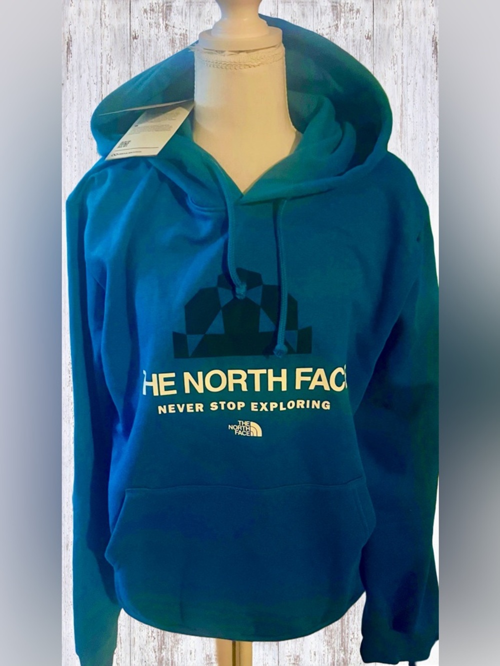 NWT The North Face Evolution BTS Hoodie Medium - Picture 4 of 9